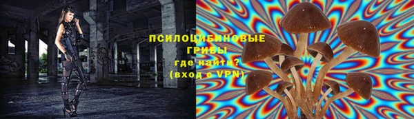 a pvp Алексин