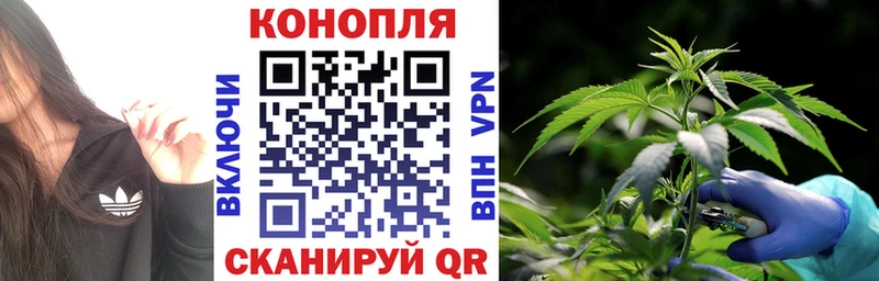 Конопля SATIVA & INDICA  Любим 